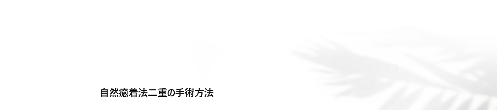 [自然癒着法二重の手術方法]
