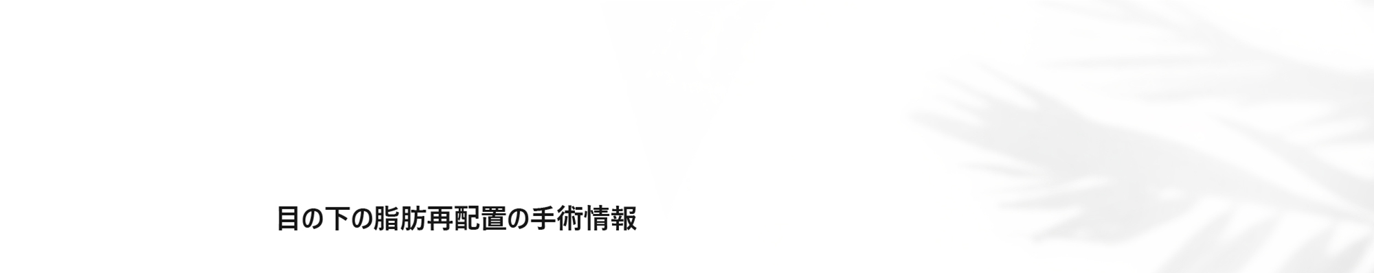 [目の下の脂肪再配置の手術情報]