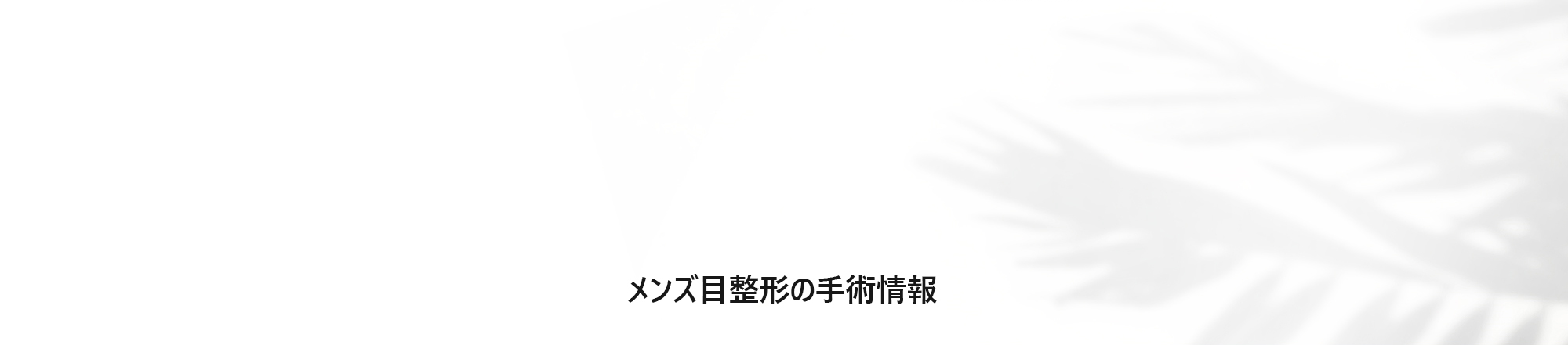 [メンズ目整形の手術情報]