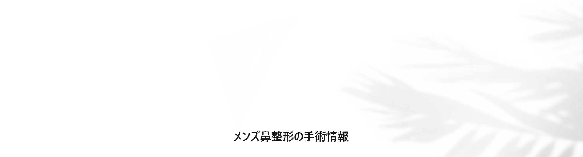 [メンズ鼻整形の手術情報]