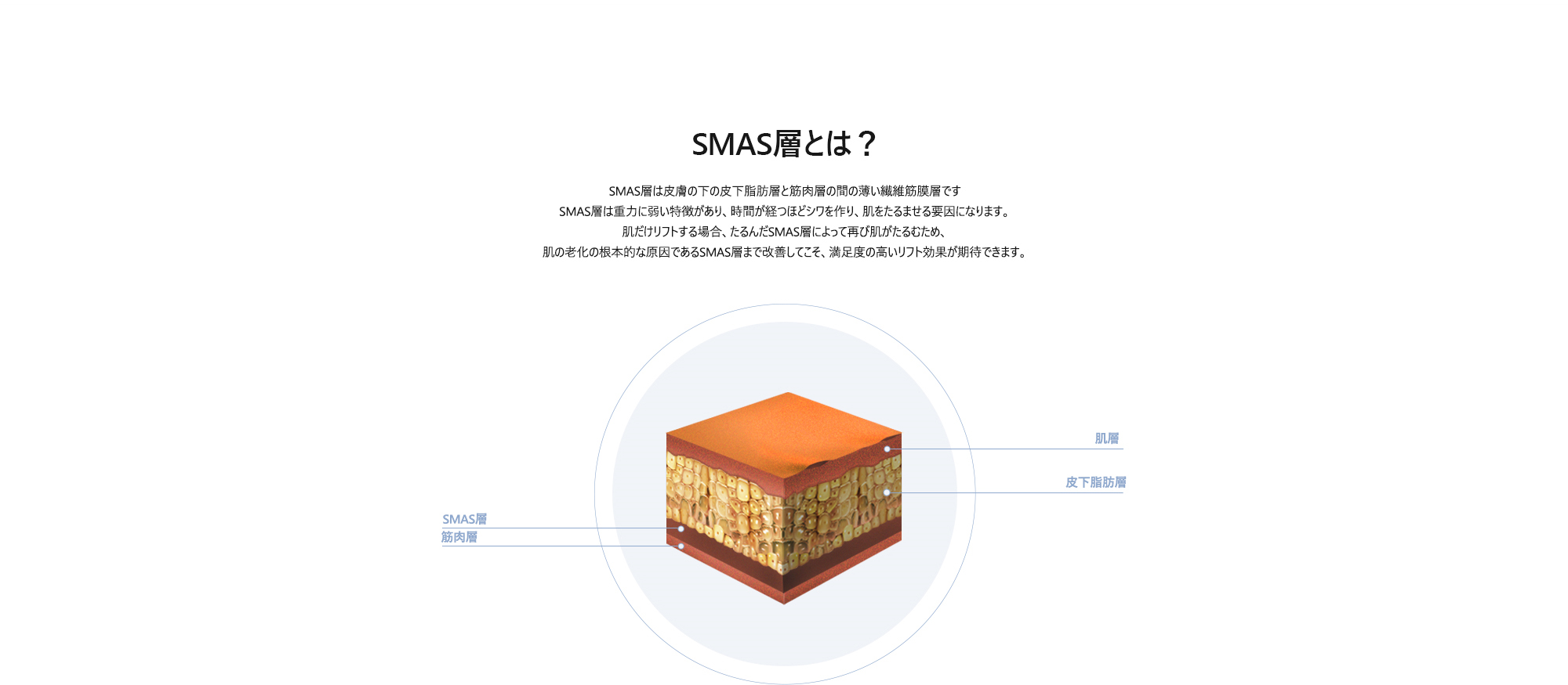[SMAS層とは？] SMAS層は皮膚の下の皮下脂肪層と筋肉層の間の薄い繊維筋膜層ですSMAS層は重力に弱い特徴があり、時間が経つほどシワを作り、肌をたるませる要因になります。肌だけリフトする場合、たるんだSMAS層によって再び肌がたるむため、肌の老化の根本的な原因であるSMAS層まで改善してこそ、満足度の高いリフト効果が期待できます。