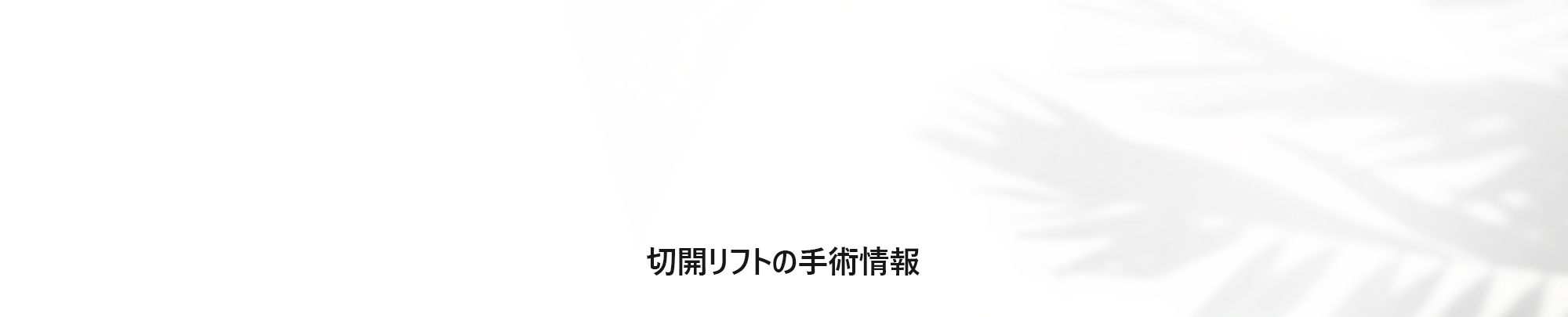 [切開リフトの手術情報]