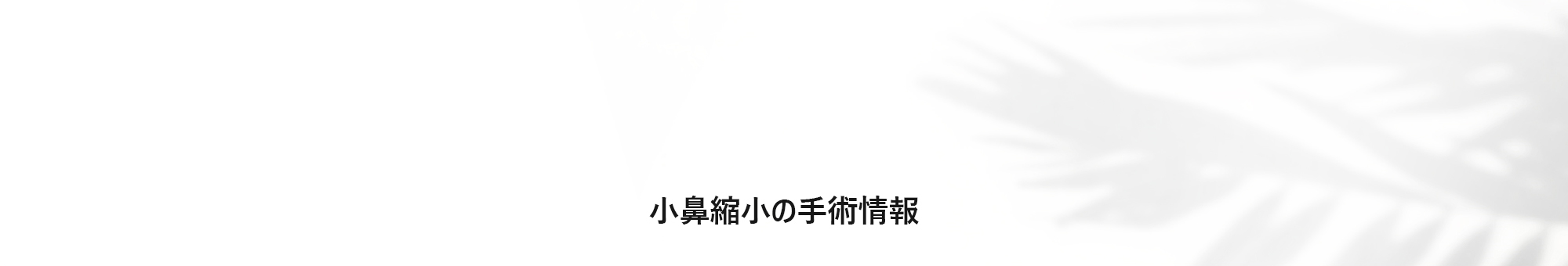 [小鼻縮小の手術情報]