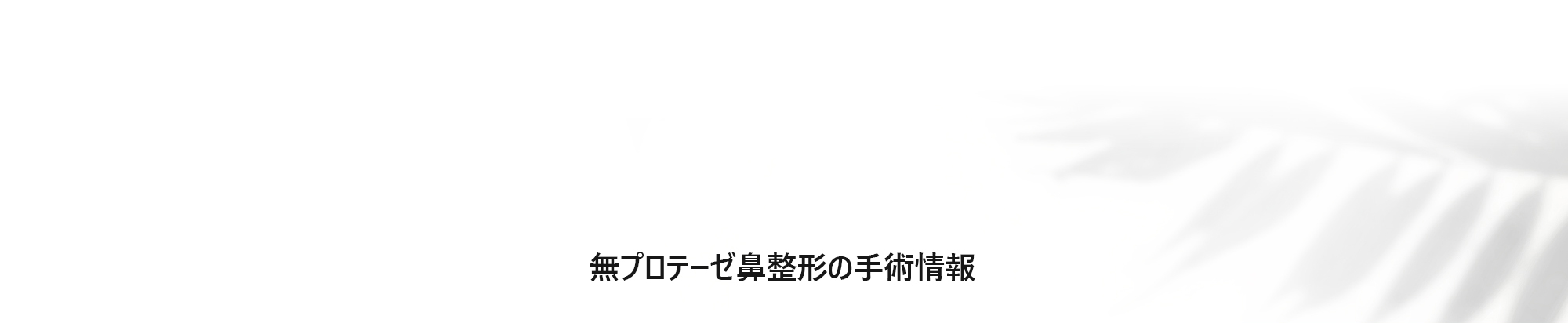 [無プロテーゼ鼻整形の手術情報]