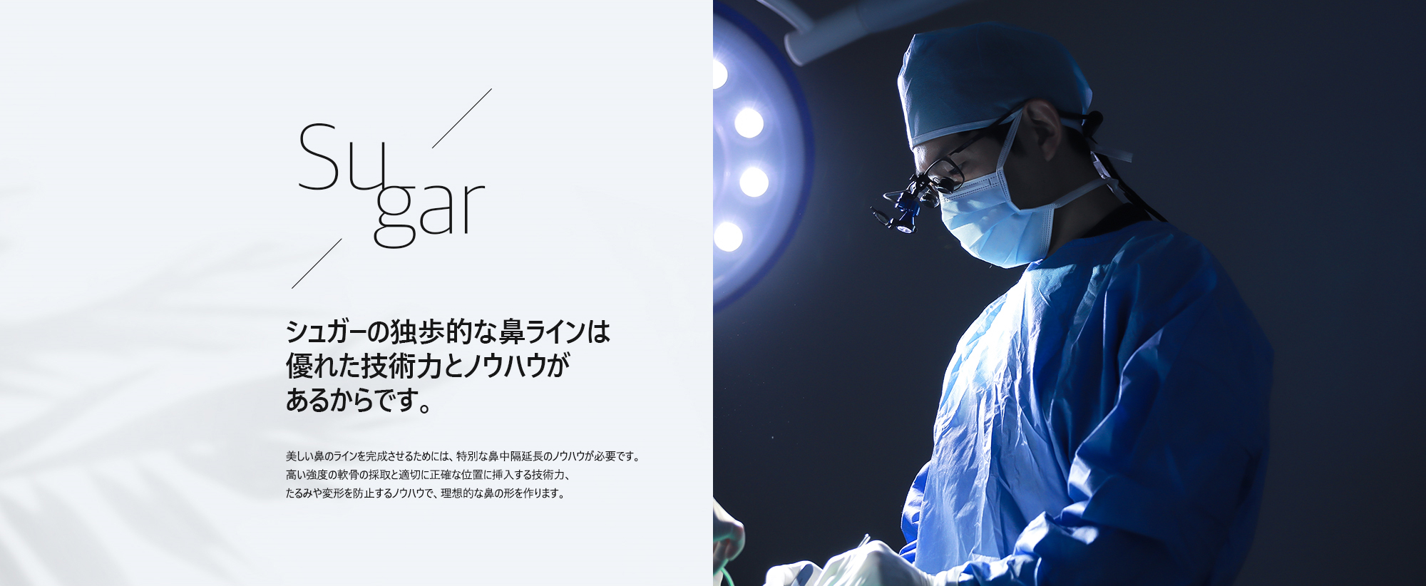 [シュガーの独歩的な鼻ラインは優れた技術力とノウハウがあるからです。] 美しい鼻のラインを完成させるためには、特別な鼻中隔延長のノウハウが必要です。高い強度の軟骨の採取と適切に正確な位置に挿入する技術力、たるみや変形を防止するノウハウで、理想的な鼻の形を作ります。
