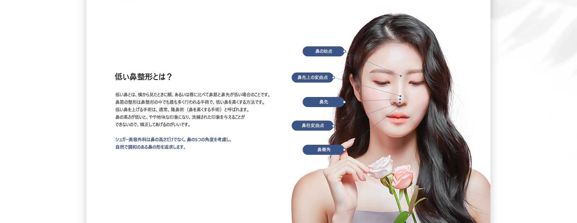 [低い鼻整形とは？] 低い鼻とは、横から見たときに額、あるいは唇に比べて鼻筋と鼻先が低い場合のことです。 鼻筋の整形は鼻整形の中でも最も多く行われる手術で、低い鼻を高くする方法です。 低い鼻を上げる手術は、通常、隆鼻術（鼻を高くする手術）と呼ばれます。 鼻の高さが低いと、やや地味な印象になり、洗練された印象を与えることが できないので、矯正してあげるのがいいです。 シュガー美容外科は鼻の高さだけでなく、鼻の5つの角度を考慮し、 自然で調和のある鼻の形を追求します。