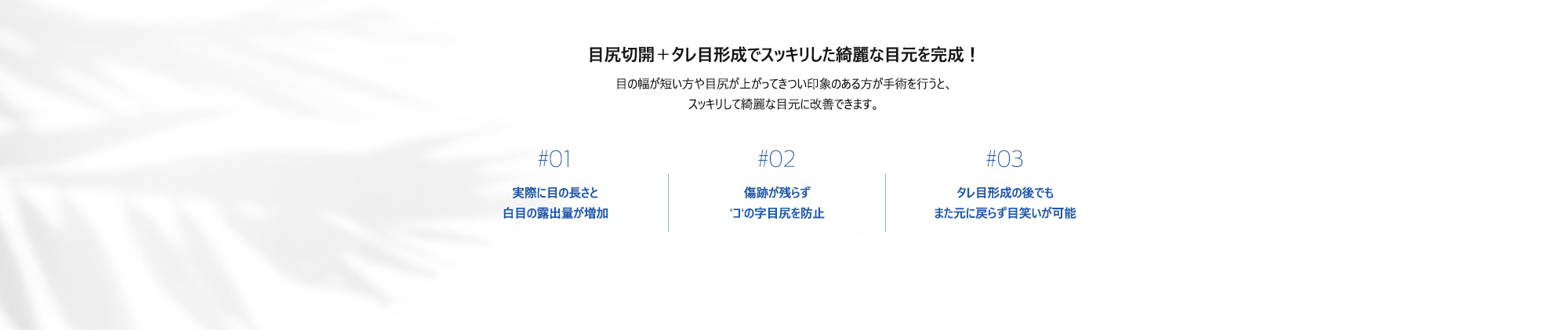 #01 : 実際に目の長さと白目の露出量が増加  #02 : 傷跡が残らず'コ'の字目尻を防止  #03 : タレ目形成の後でもまた元に戻らず目笑いが可能