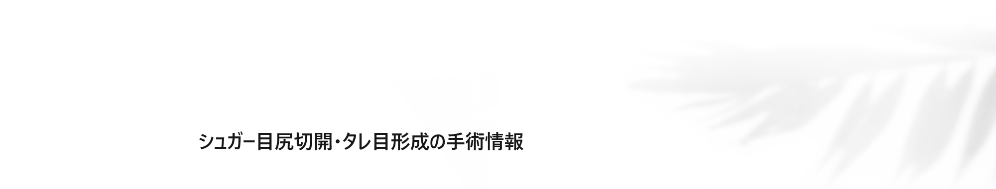 [シュガー目尻切開・タレ目形成の手術情報]